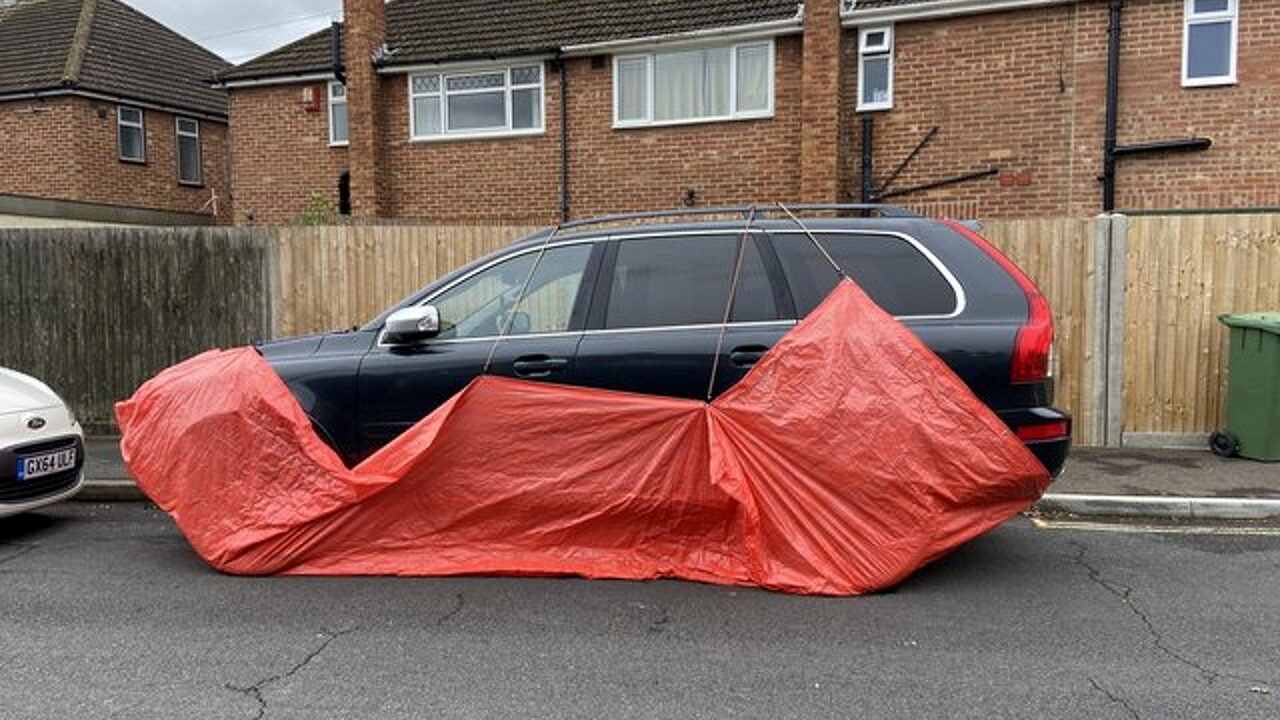 В Великобритании лисы повредили десятки автомобилей