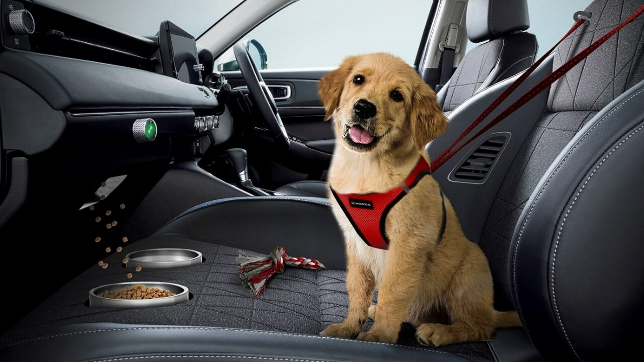 В автомобилях Honda появятся сидения для домашних животных